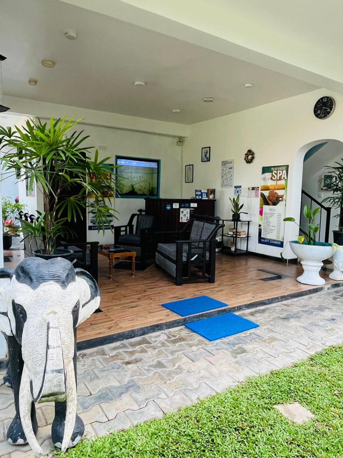 Nebula Residence Negombo Exterior photo